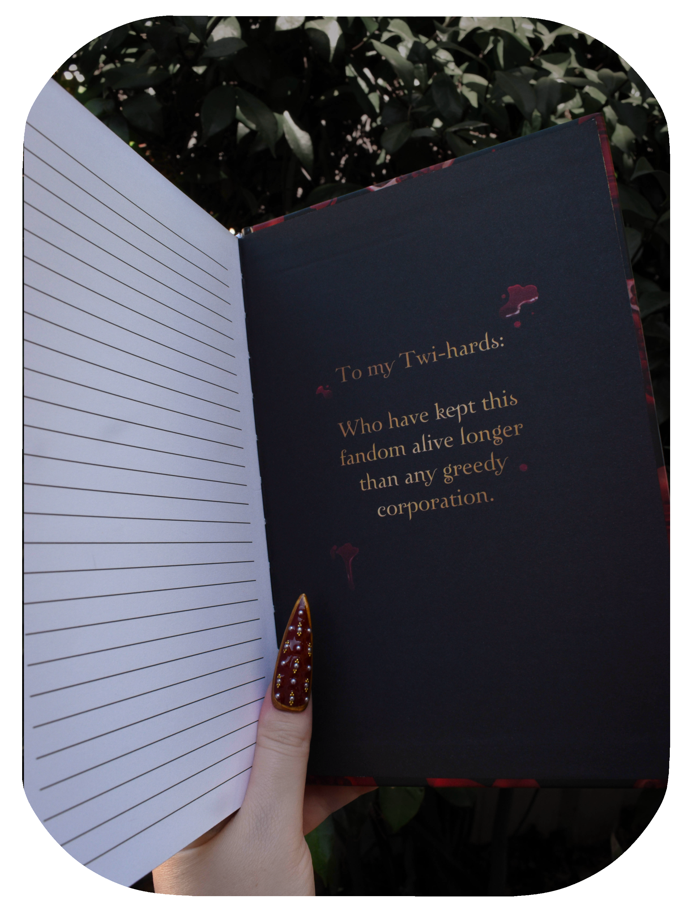 Edward's Journal